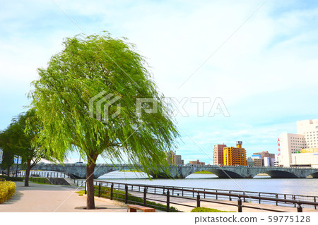 柳樹和萬代橋 59775128