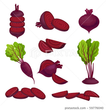 Beetroot with Top Leaves and Half of Beet Vector Set Beetroot with Top Leaves and Half of Beet Vector Set 59776040