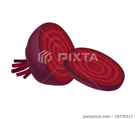 Beet-Root Without Beet Tops Cut into Sections Vector Illustration Beet-Root Without Beet Tops Cut into Sections Vector Illustration 59776313