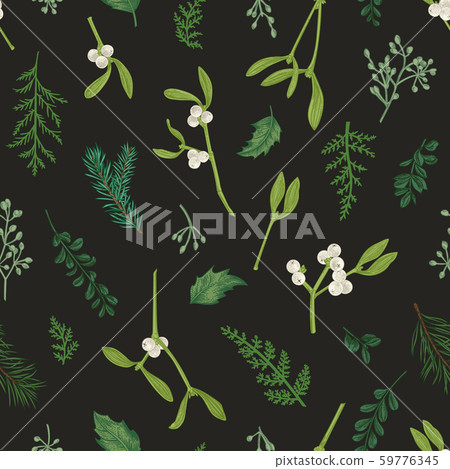 Seamless pattern with winter plants. 59776345