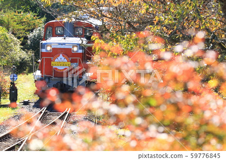 Torokko Watari Valley No. "Wrapped in the leaves of sparkling autumn leaves" Torokko Watari Valley No. "Wrapped in the leaves of sparkling autumn leaves" 59776845