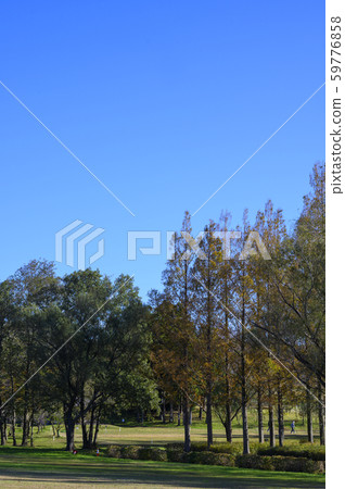 Kibagata West Garden / Grand Golf / November shooting / Komatsu City, Ishikawa Prefecture 59776858