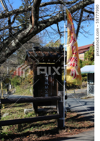 ■高遠城■楓樹節■信息委員會■武田克代武，西之森伸■長野 59777990