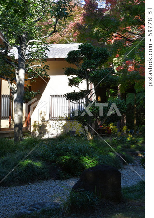 Narukusan in Autumn Narukusan in Autumn 59778131