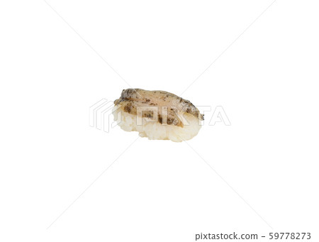 Awabi or Abalone sushi nigiri japanese cuisine 59778273