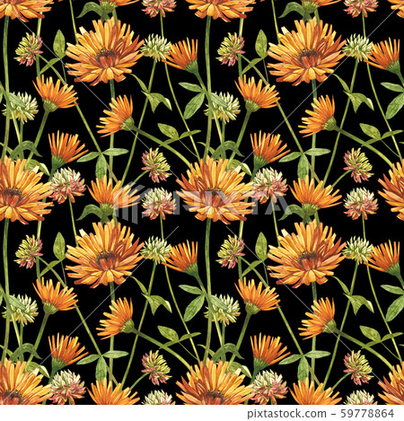 Calendula or daisy flower.Watercolor botanical illustration. Good for cosmetics, medicine, treating 59778864