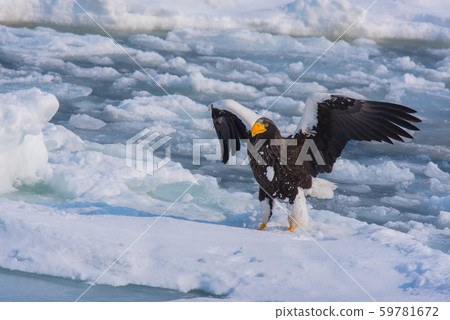 Shiretoko winter Shiretoko winter 59781672