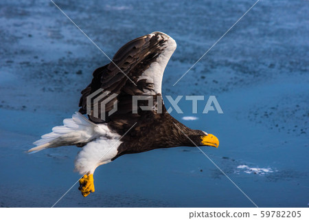 Shiretoko winter 59782205