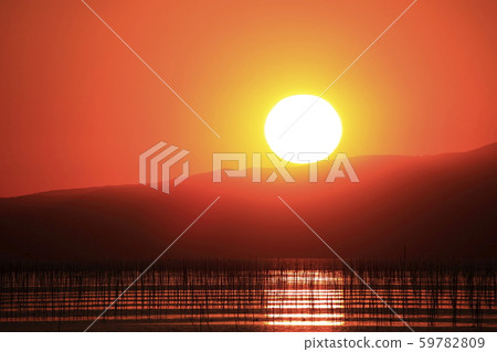 大牟田市Miike Port Sunset 59782809