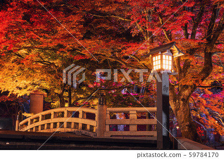 Autumn colors light up at Dotsu Shrine Autumn colors light up at Dotsu Shrine 59784170