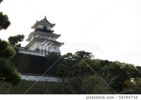 ■掛川城■山內一俊■靜岡縣 59784758