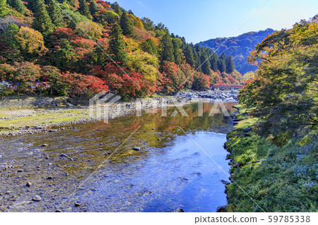 Korohiroki Autumn leaves Korohiroki Autumn leaves 59785338