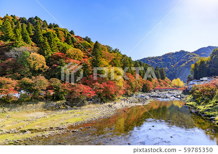 Korohiroki Autumn leaves Korohiroki Autumn leaves 59785350