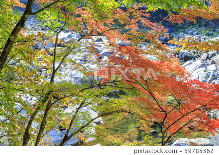 Korohiroki秋葉 59785362