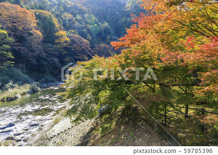Korohiroki Autumn leaves Korohiroki Autumn leaves 59785396