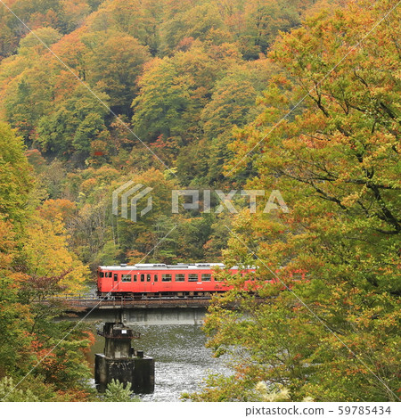 Tadami line of autumn leaves Tadami line of autumn leaves 59785434