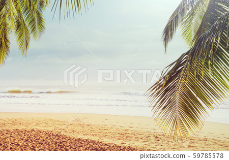 Coast in Costa Rica 59785578