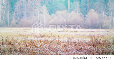 Autumn meadow 59785588