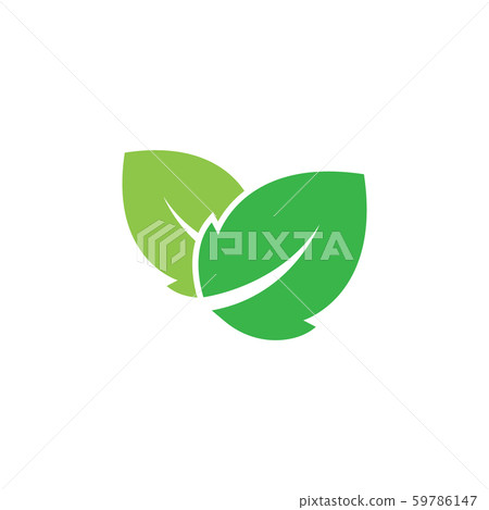Mint leaves graphic design template vector Mint leaves graphic design template vector 59786147
