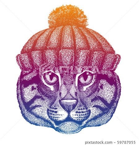 Cat. Ski, skier animal wearing woolen knitted hat. Christmas time. Cartoon character for little 59787055