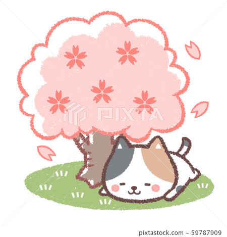 Hanami calico cat 59787909