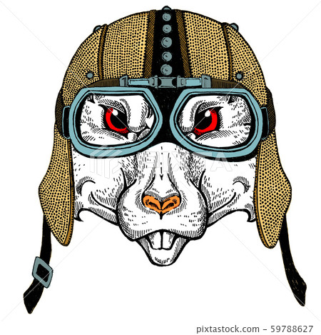 Biker, motorcyclist. Rat portrait. with leather vintage helmet. Motorcycle symbol chinese happy new Biker, motorcyclist. Rat portrait. with leather vintage helmet. Motorcycle symbol chinese happy new 59788627