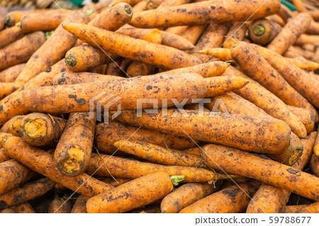 carrot background, harvest, sale of fresh vegetables carrot background, harvest, sale of fresh vegetables 59788677