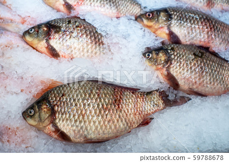raw fish crucian on ice, sale of fish raw fish crucian on ice, sale of fish 59788678