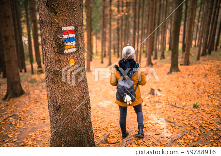 Touristic sign or mark on tree next to touristic path with female tourist in background. Nice autumn 59788916
