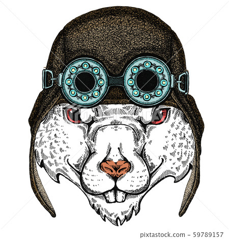 Wild aviator rat portrait. Symbol chinese happy new year 2020. 59789157