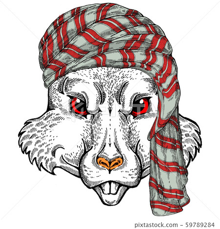 Wild rat portrait wearing traditional arabian... - Stock Illustration ...