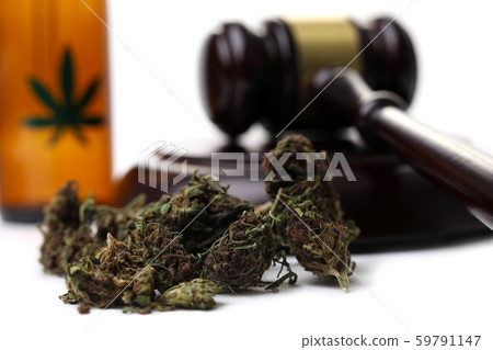 Marijuana grass with judge hummer isolated Marijuana grass with judge hummer isolated 59791147