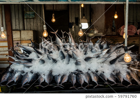 Street fish market. Fresh catch of fish in ice. 59791760