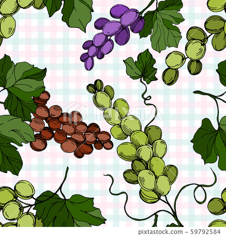 Grape berry healthy food. Black and white engraved ink art. Seamless background pattern. Grape berry healthy food. Black and white engraved ink art. Seamless background pattern. 59792584