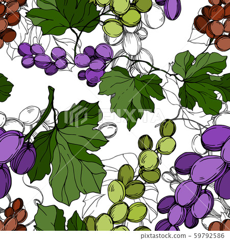 Grape berry healthy food. Black and white engraved ink art. Seamless background pattern. Grape berry healthy food. Black and white engraved ink art. Seamless background pattern. 59792586