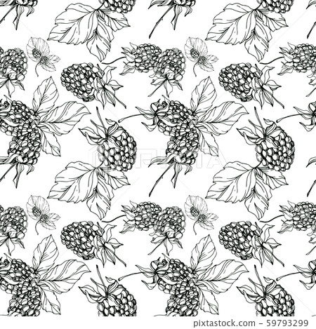 Blackberry healthy food. Black and white engraved ink art. Seamless background pattern. Fabric 59793299