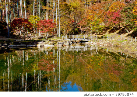 Pond, autumn leaves and bridge 59793874