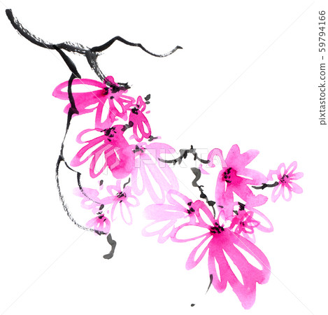 Blossom sakura tree branch Blossom sakura tree branch 59794166