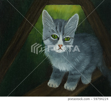Small grey cat against a green background Small grey cat against a green background 59794224