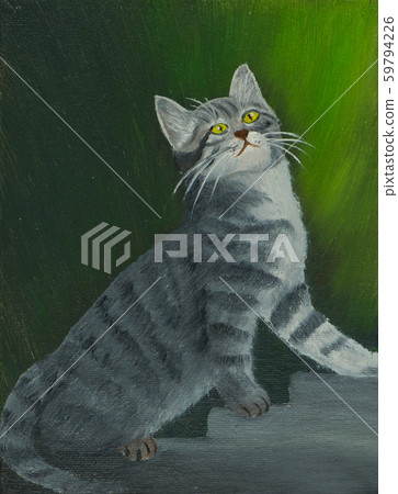 gray striped cat