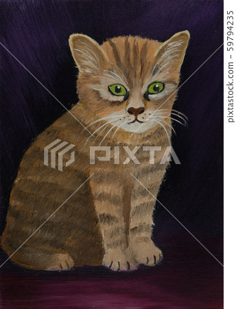 Brown striped cat against a purple background Brown striped cat against a purple background 59794235
