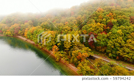 Yellow leaves of Lake Aizuma Yellow leaves of Lake Aizuma 59794242