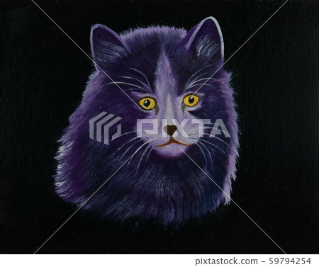 Big Angora cat with purple fur and yellow eyes Big Angora cat with purple fur and yellow eyes 59794254