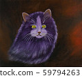 Purple Angora cat with yellow eyes and thick fur 59794263