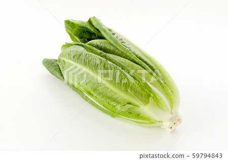 Romein生菜 59794843