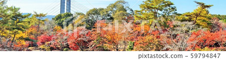 鹿兒島縣伊佐市柏木瀑布秋天的樹葉全景標題材料背景 59794847