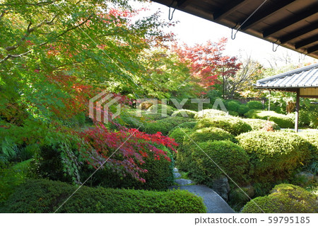 Autumn's Townscape Poetry Izumikaku 59795185