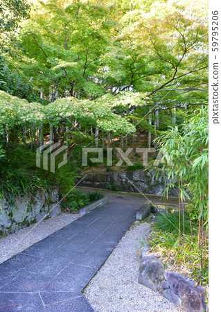 秋天的城市景觀詩Izumikaku 59795206