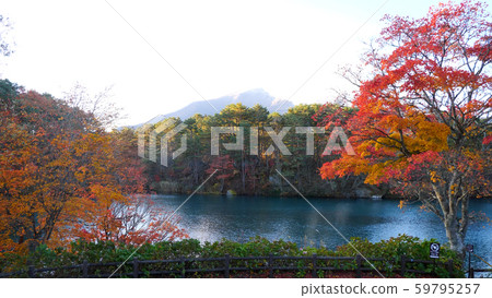 Bishamon marsh in Urabandai Goshikinuma Bishamon marsh in Urabandai Goshikinuma 59795257