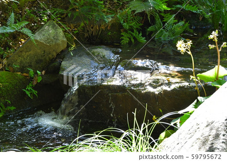 秋天的城市景觀詩Izumikaku 59795672